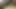 ind