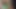 Blowjob for Insufficient funds - Big cumshot