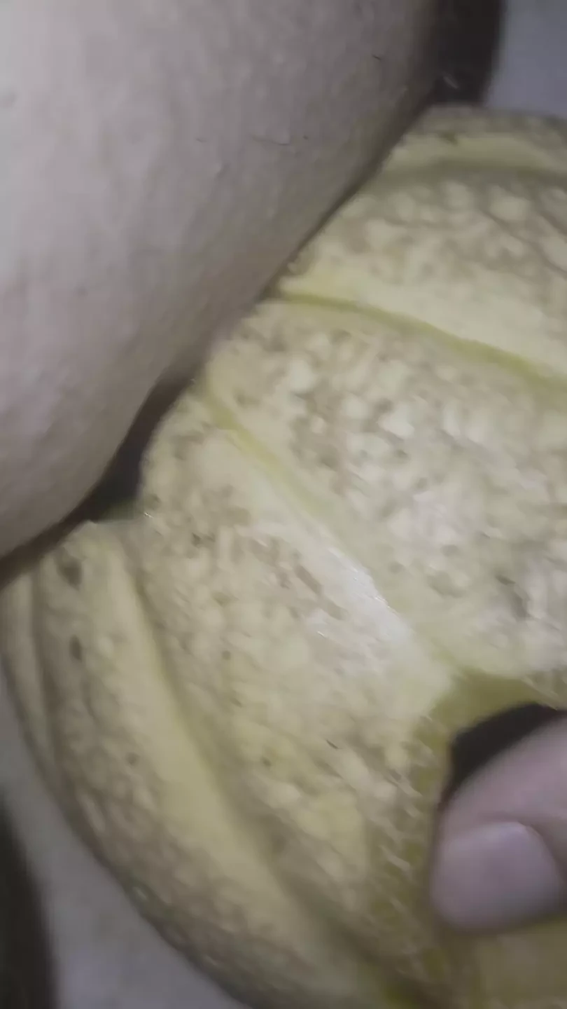 Me he puesto un aguacate en el melón y sigue follándolo
