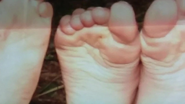 Feet To Eat - Part 3