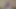 Cum Tribute - Ugly-Duckling