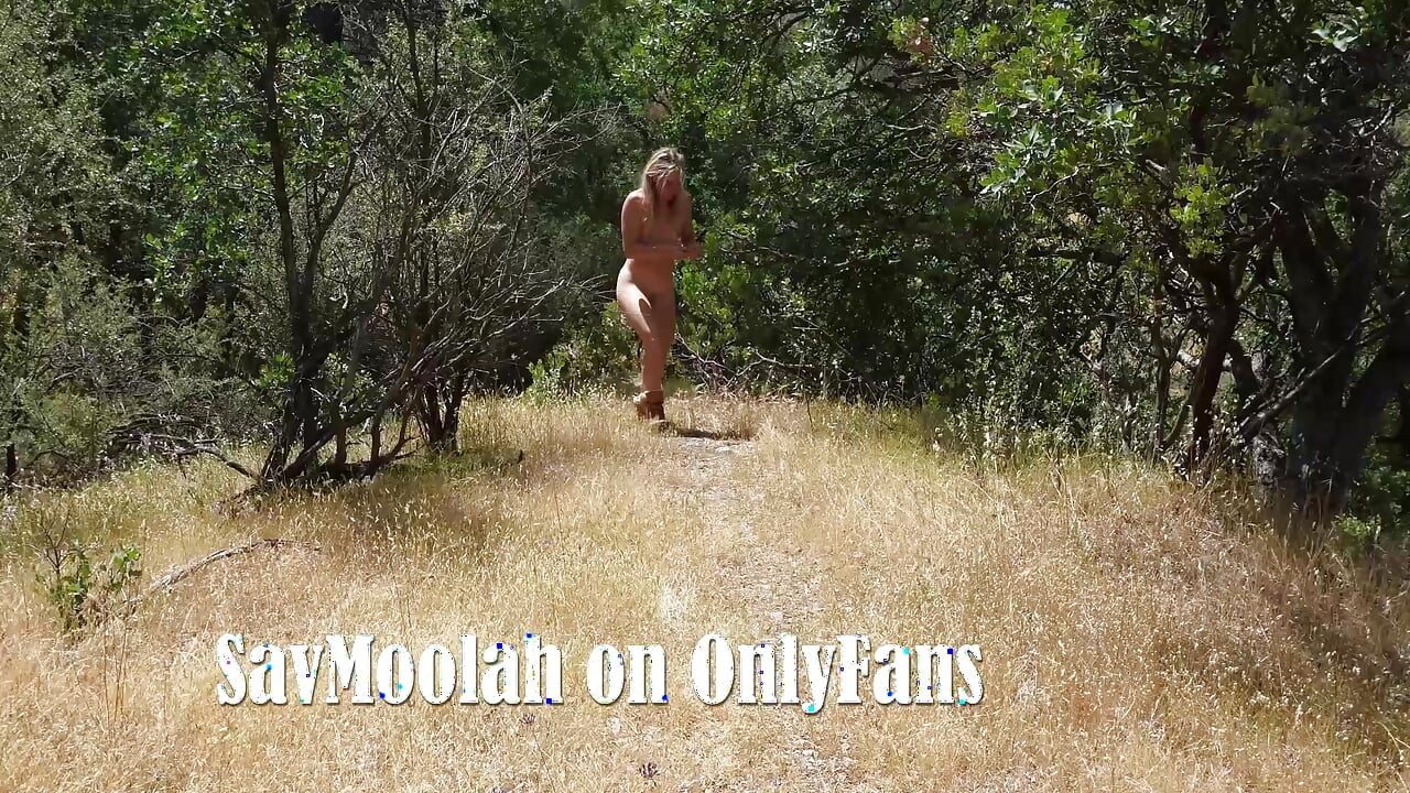 Outdoor Doggy Style Compilation