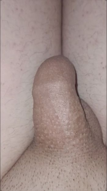 My cock is growing