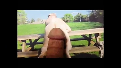 Данина