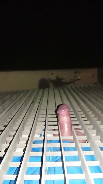 Watch porn and fuck bars