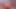 Nylon Pee Jasmine Rouge Part 1