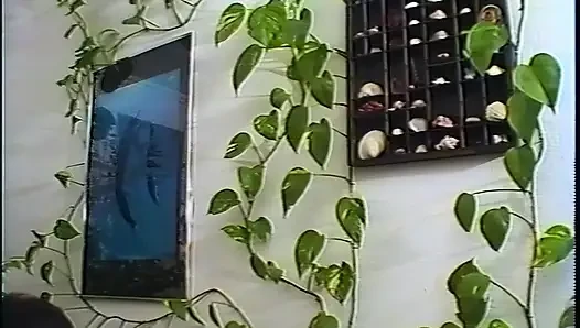 Ngentot memekku habis-habisan sampai kamu crot