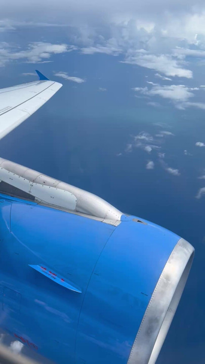 Showing cock on plane