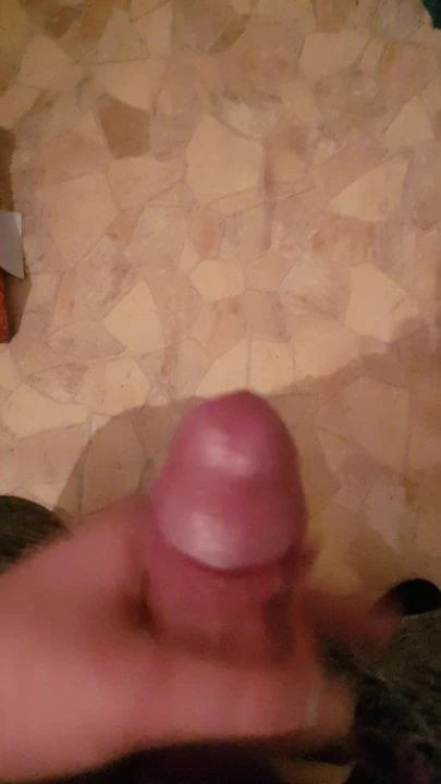 Maikal dvilingi larka