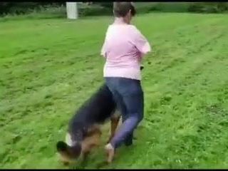 Flidd, laufender Hund