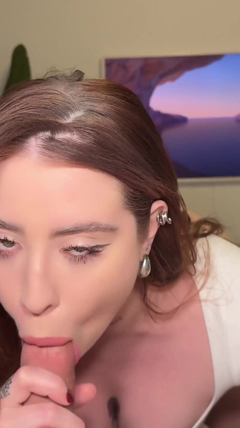 Pregled videozapisa