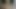 1700年代の愚かさ