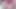 SWALLOWED Khloe Kingsley and Aviana Violet can't be stopped