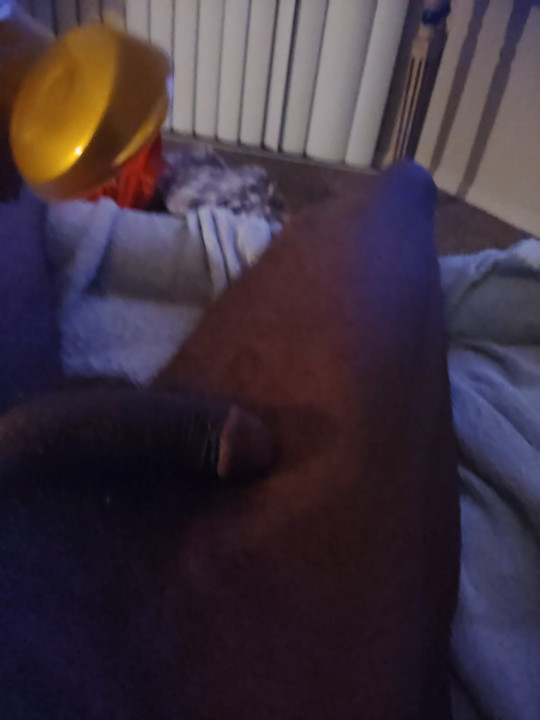 Average cock