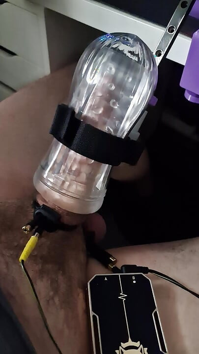 Milked and E-Stimmed
