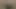 Maria PNG Pornstar