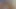 Siyah Afrikalı amcık