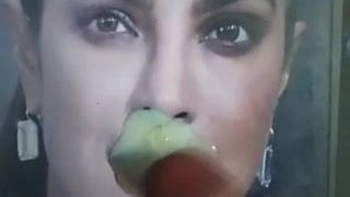 Priyanka Chopra Hollywood Bollywood Actress Hot Cum Tribute