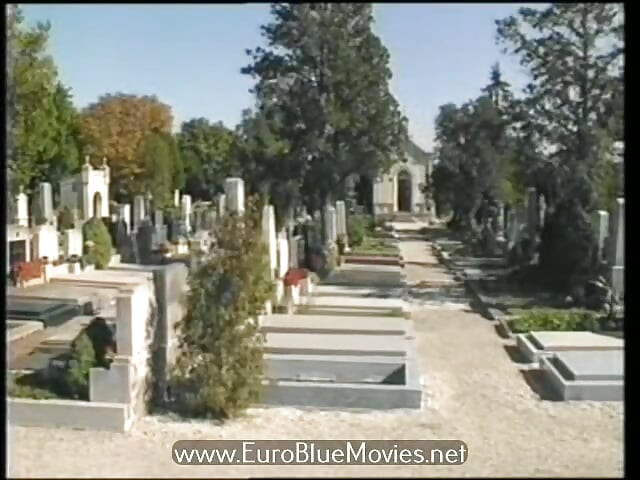 Viennese Embers Part 1 (1990)