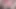 lund ka paani nikala desi boy handjob selfie video record