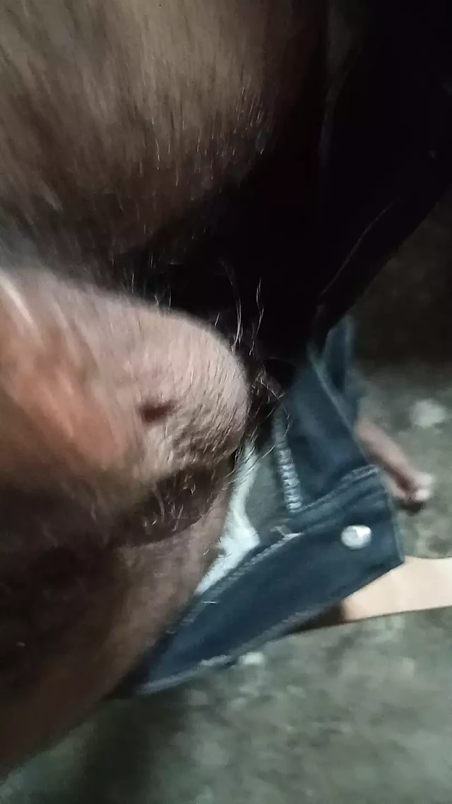 Indian boy sex with black Lund
