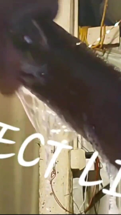 PERFECT LIPS made him bust a hard NUT!!! from her sloppily deepthroating his dick | Clip 1