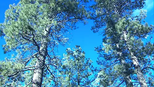 Чудесную крошку с большими сиськами выебали на улице