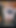 Cumpilation 24