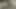 Ugly German midget sluts getting fucked in nature