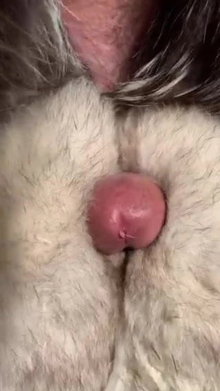 Leche en la piel