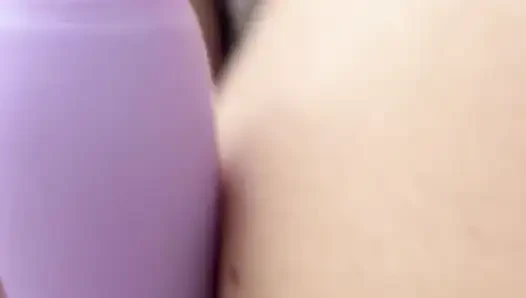 Hamster nach dunkelheit