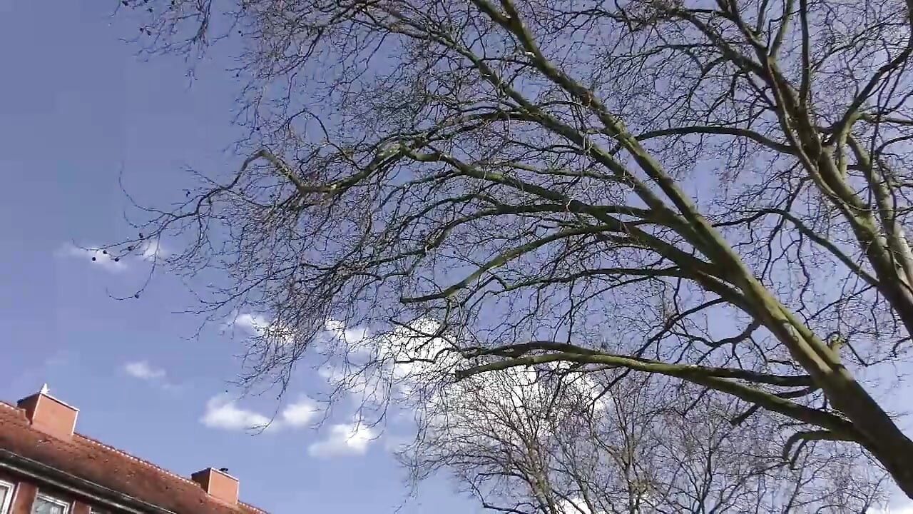 Real german couple fucking at home!!