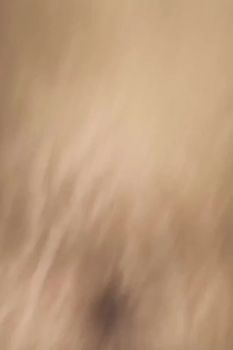 Indian Desi Wife Sex