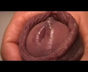 jerking and cumming