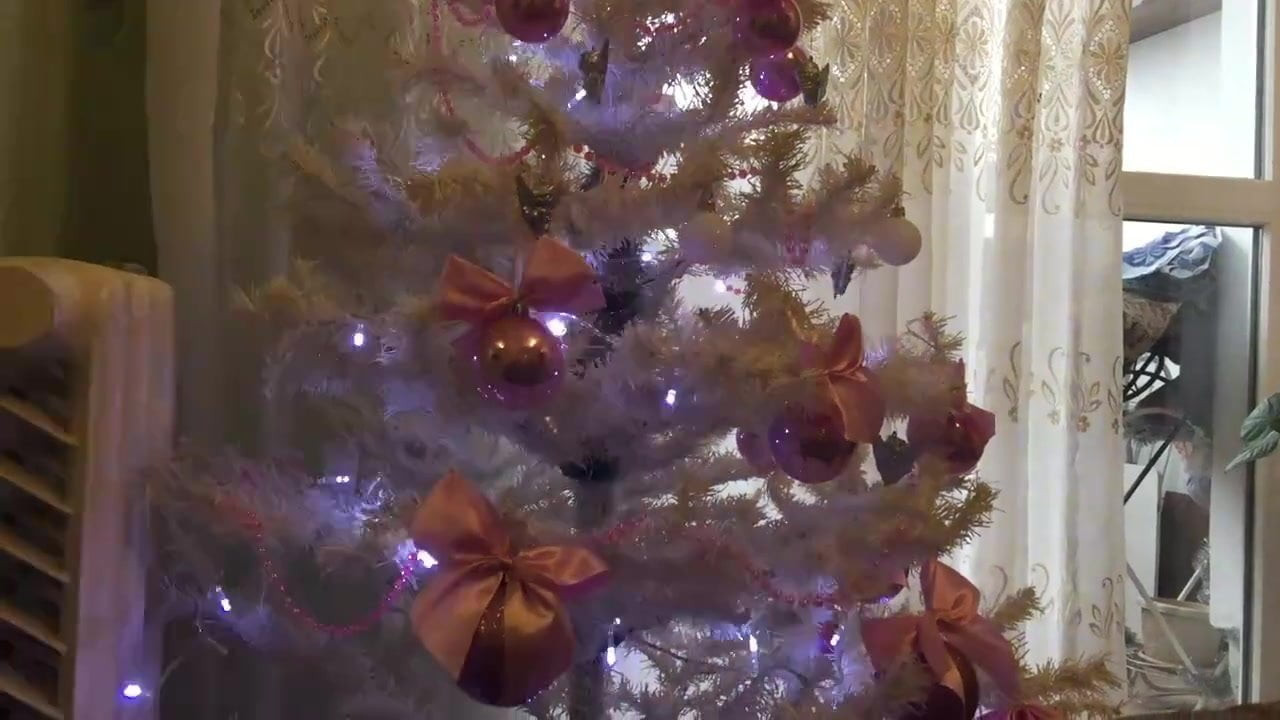 celebrate Christmas