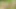 GenLez - Connie Smith and Victoria Puppy Go on Lesbian Picnic