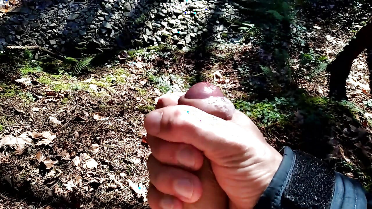 Dirty Handsome Boy Jerks His Delicious Big Cock in the Forest and the Tree Swallows His Cum