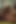 Cızırtılı kavurucu koyu huylu bir bal, döl sıçratarak çılgın bir ormanda seks yapıyor. En iyi karanlık hued xxx pornosu!
