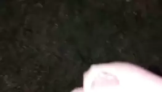 Dölüm