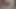 Siyahlı güzel bir kadın götüne büyük bir yapay penis alıyor, daha önce sahibenin nazik eliyle geliştirilmiş