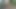 cum in forest
