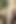 Wife Loves Watching Herself Sucking Cock