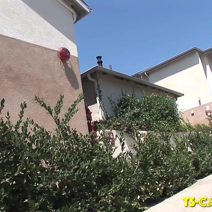 Sexy Latin babe twerks & jerks