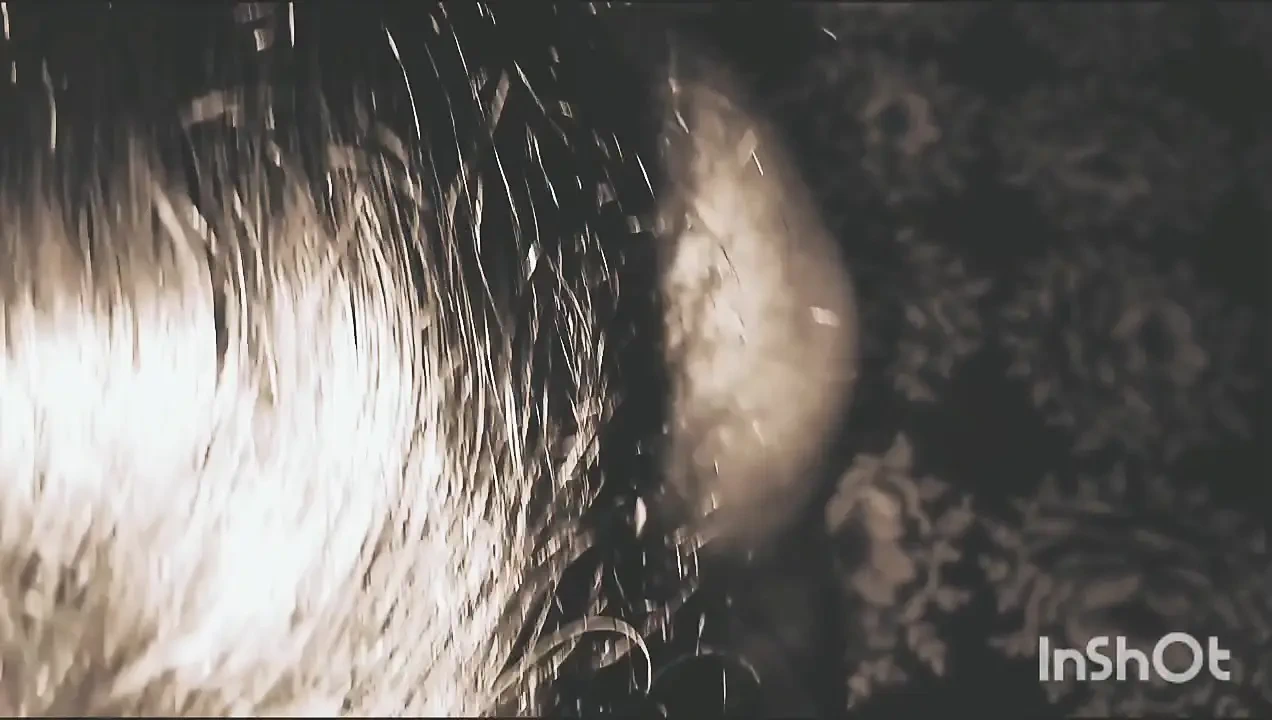 Desi wife sex with her husband with more pleasure