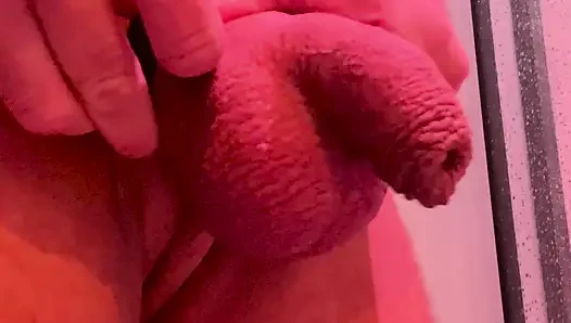 Puppy bir bahsi kaybettikten sonra penisini kilitliyor