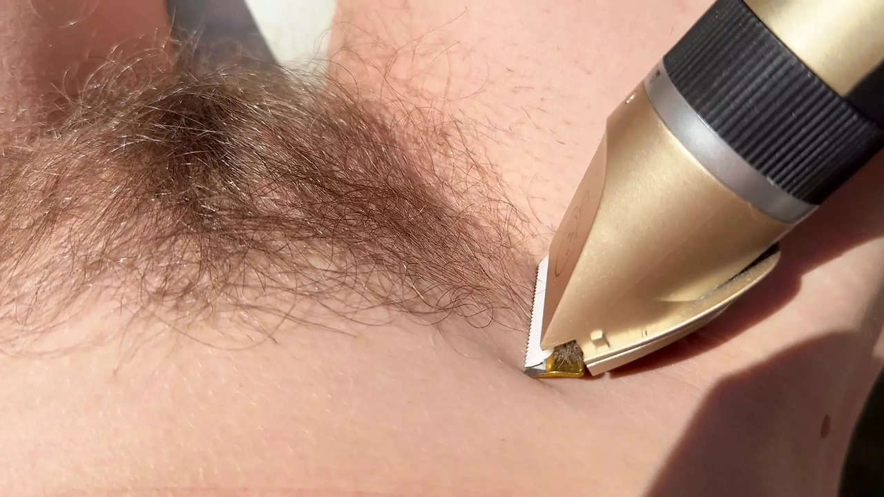 修剪我的灌木和我毛茸茸的腿在户外特写