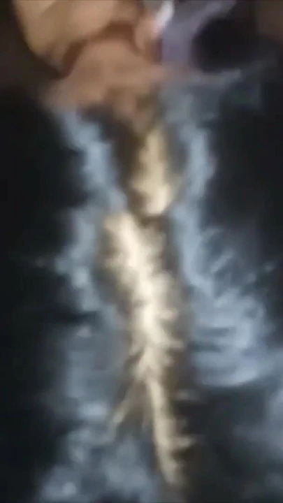 Thrilling moment from "Moroccan Deepthroat - Hot Sexy Dounia Going Crazy Wet"