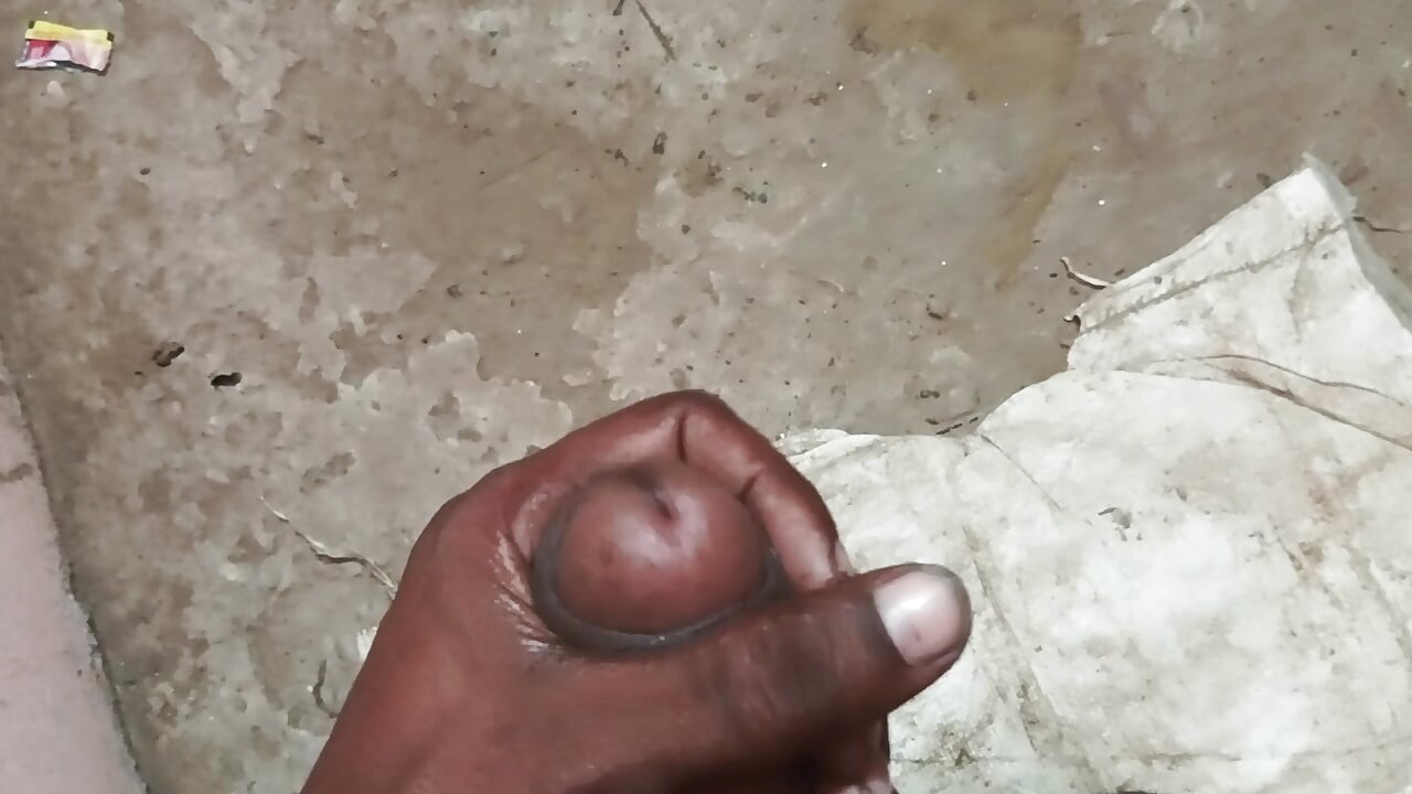 Moj dugi Desi dlakavi