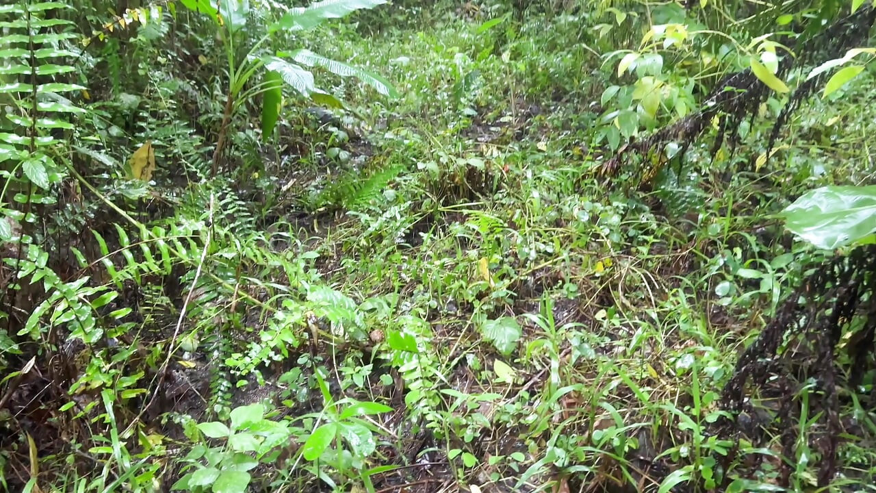 Al aire libre kantotan ano tara?