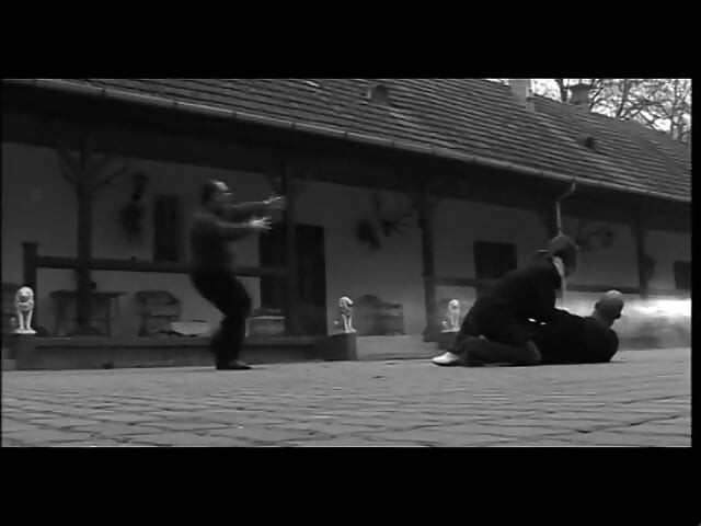 Stepather master - DVD